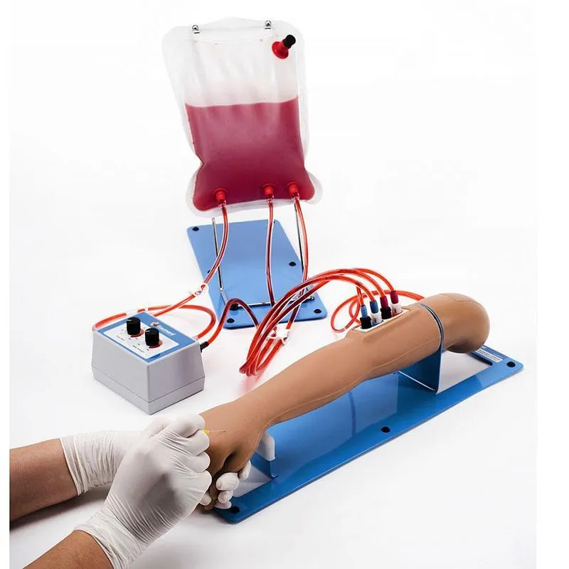 5-Year Pediatric IV and Arterial Access Training Arm S405.100, Light