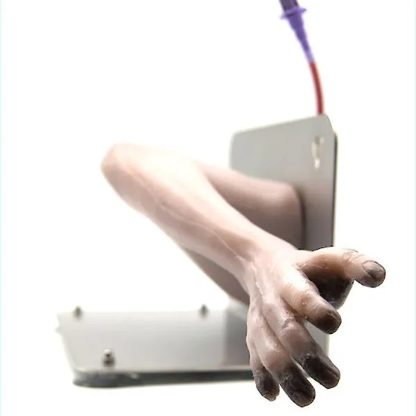 Adult Rhesus Monkey 'Rita' Advanced Venipuncture Training Leg
