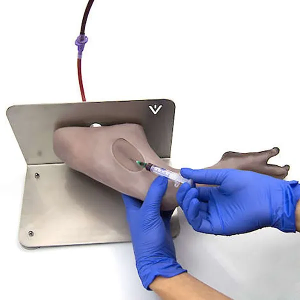 Adult Rhesus Monkey 'Rita' Advanced Venipuncture Training Leg