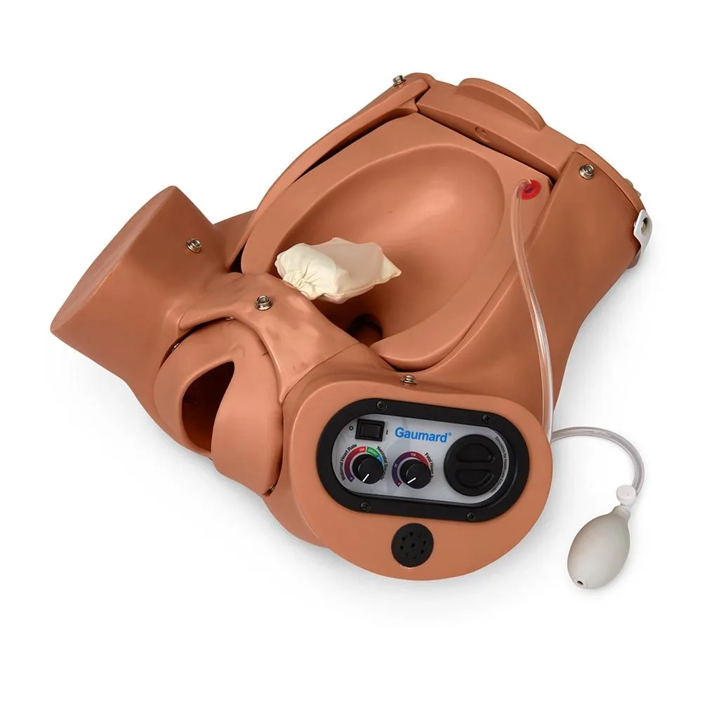 Advanced OB Susie® - Childbirth Skills Trainer, Light