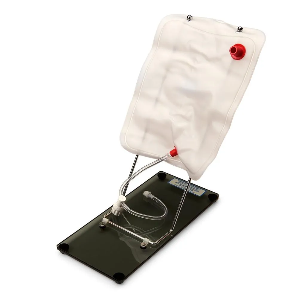 Advanced OB Susie® - Childbirth Skills Trainer, Medium