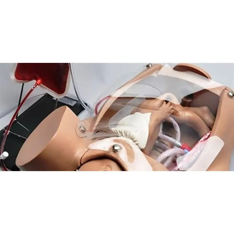 Advanced OB Susie® - Childbirth Skills Trainer, Medium
