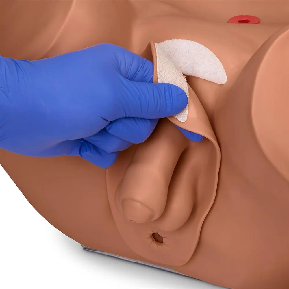 Advanced Patient Care Male and Female Catheterization Simulator, Medium