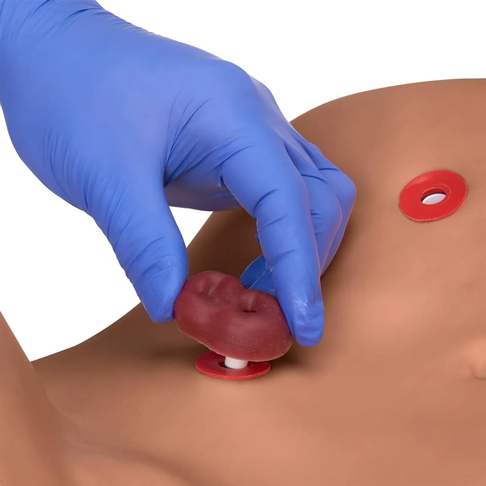 Advanced Patient Care Male and Female Catheterization Simulator, Medium
