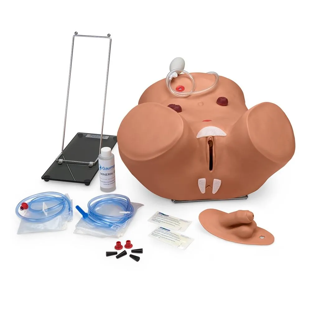 Advanced Patient Care Male and Female Catheterization Simulator, Medium