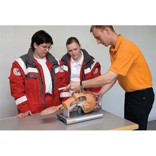 Ambu Airway Management Trainer (A186002000)