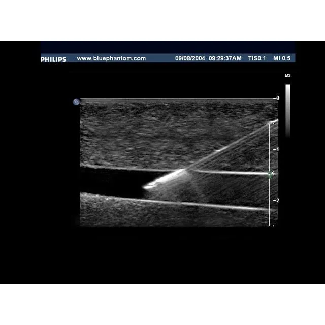 Branched 4 Vessel Ultrasound Training Block