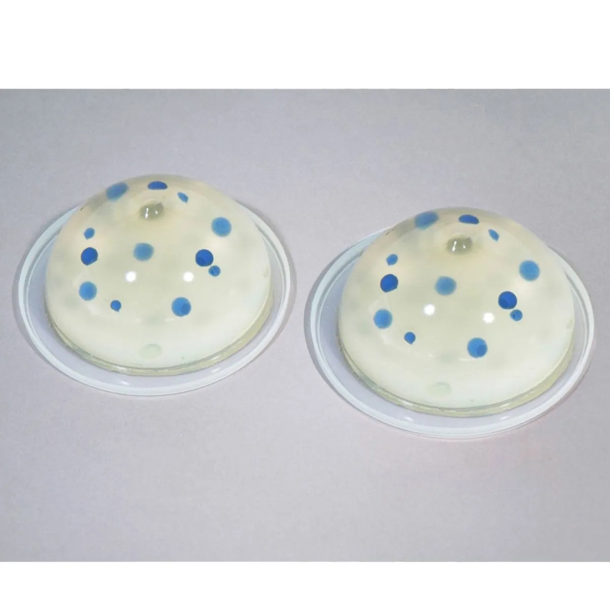 Breast Biopsy Training Model KK-US-9, Set of 2