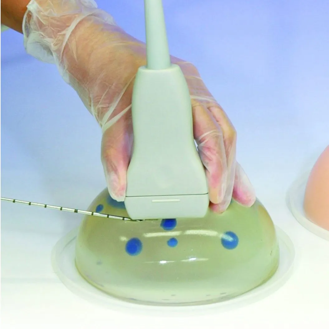 Breast Biopsy Training Model KK-US-9, Set of 2