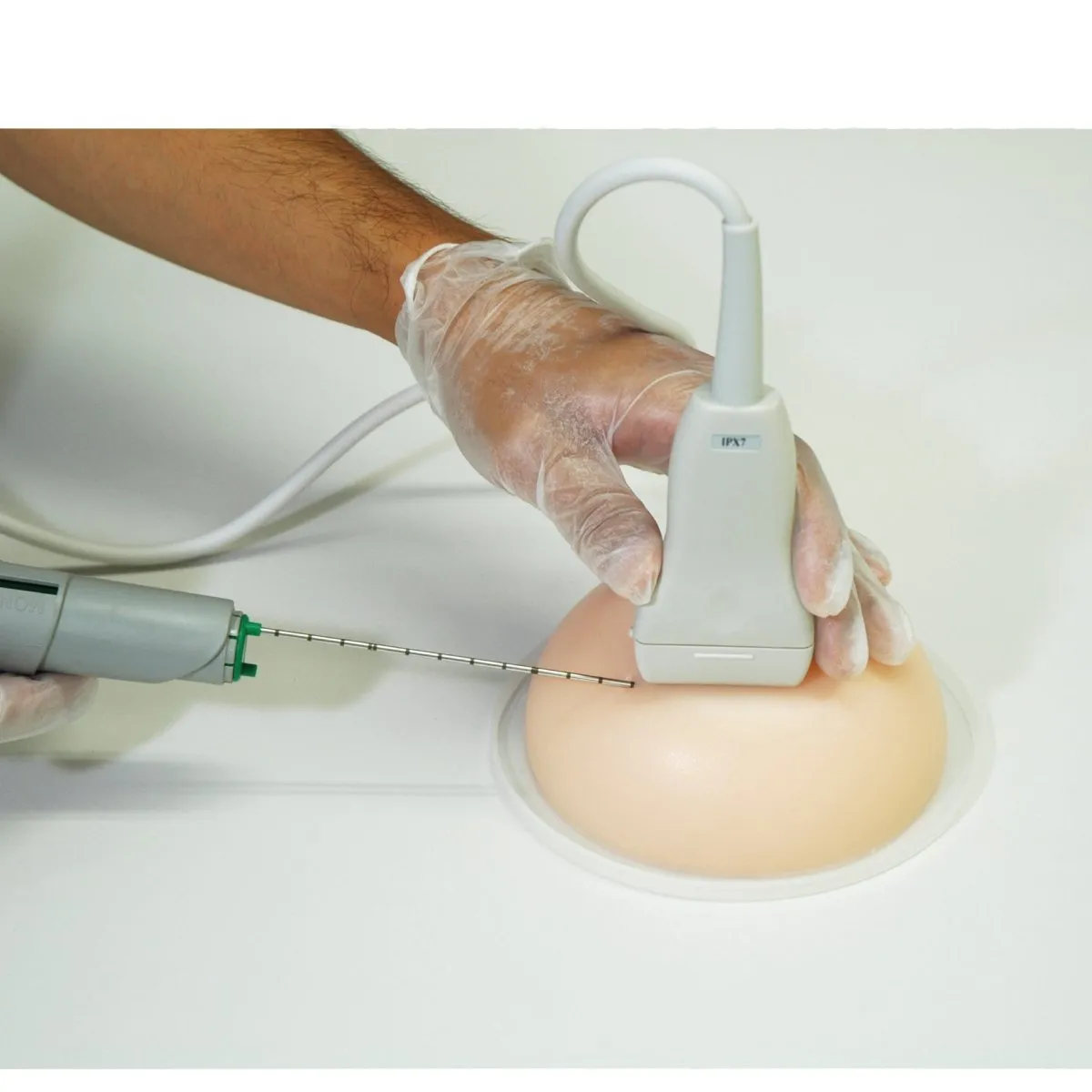 Breast Biopsy Training Model KK-US-9, Set of 2