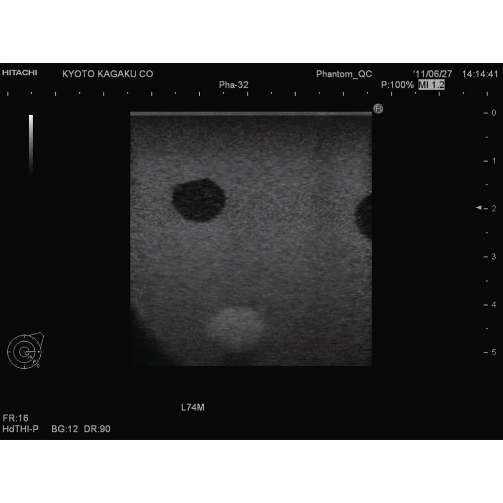 Breast Biopsy Training Model KK-US-9, Set of 2