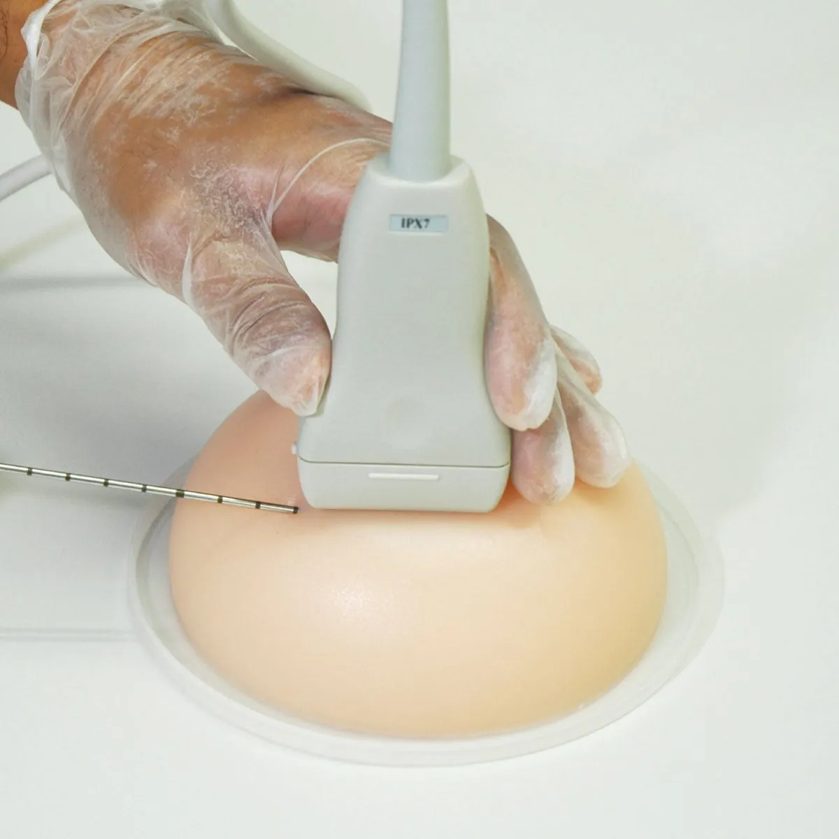 Breast Biopsy Training Model KK-US-9, Set of 2