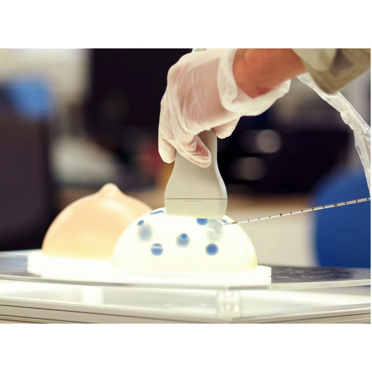 Breast Biopsy Training Model KK-US-9, Set of 2