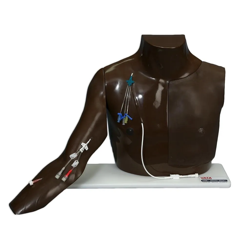Chester Chest™ Vascular Access Simulator With Standard Arm, Dark