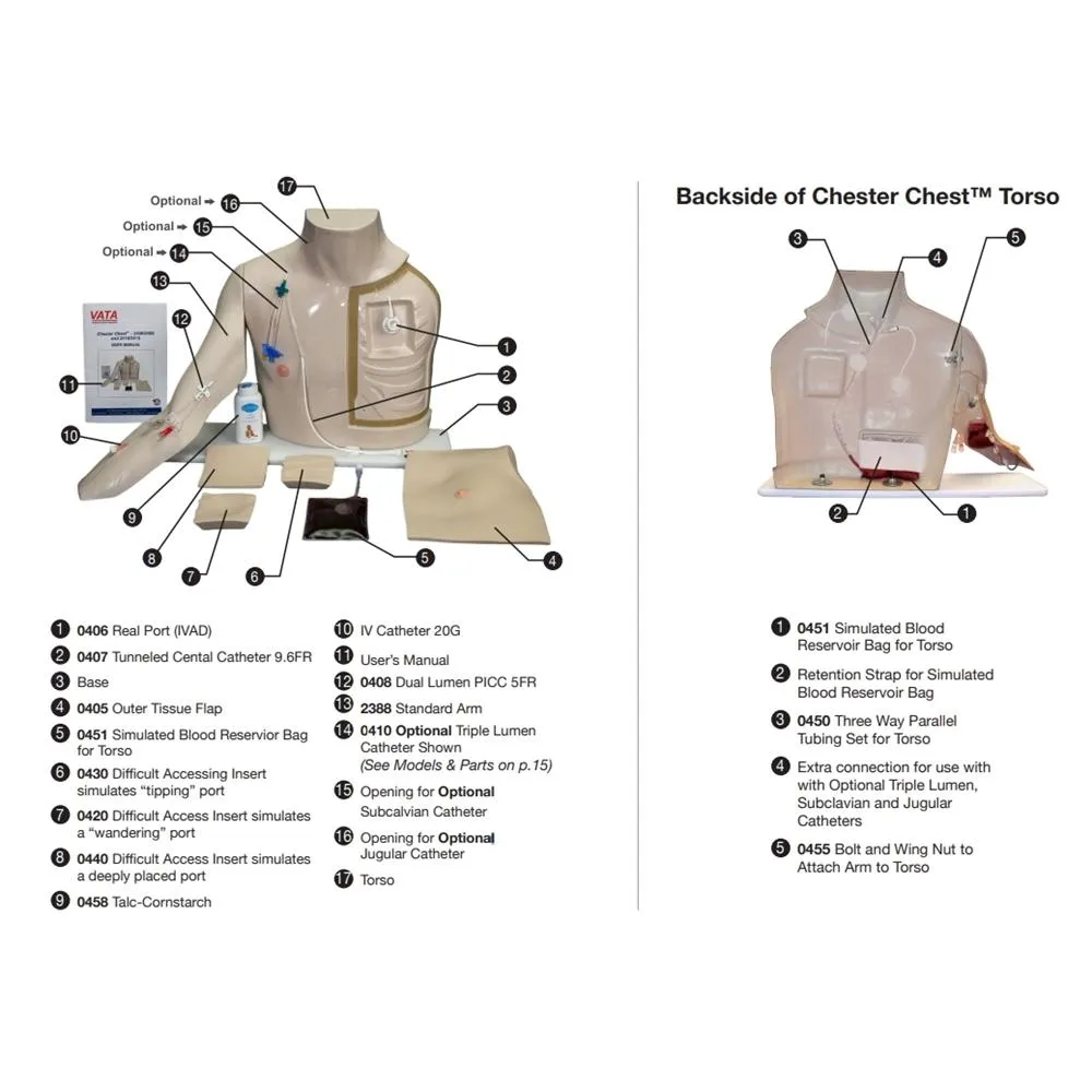 Chester Chest™ Vascular Access Simulator With Standard Arm, Dark