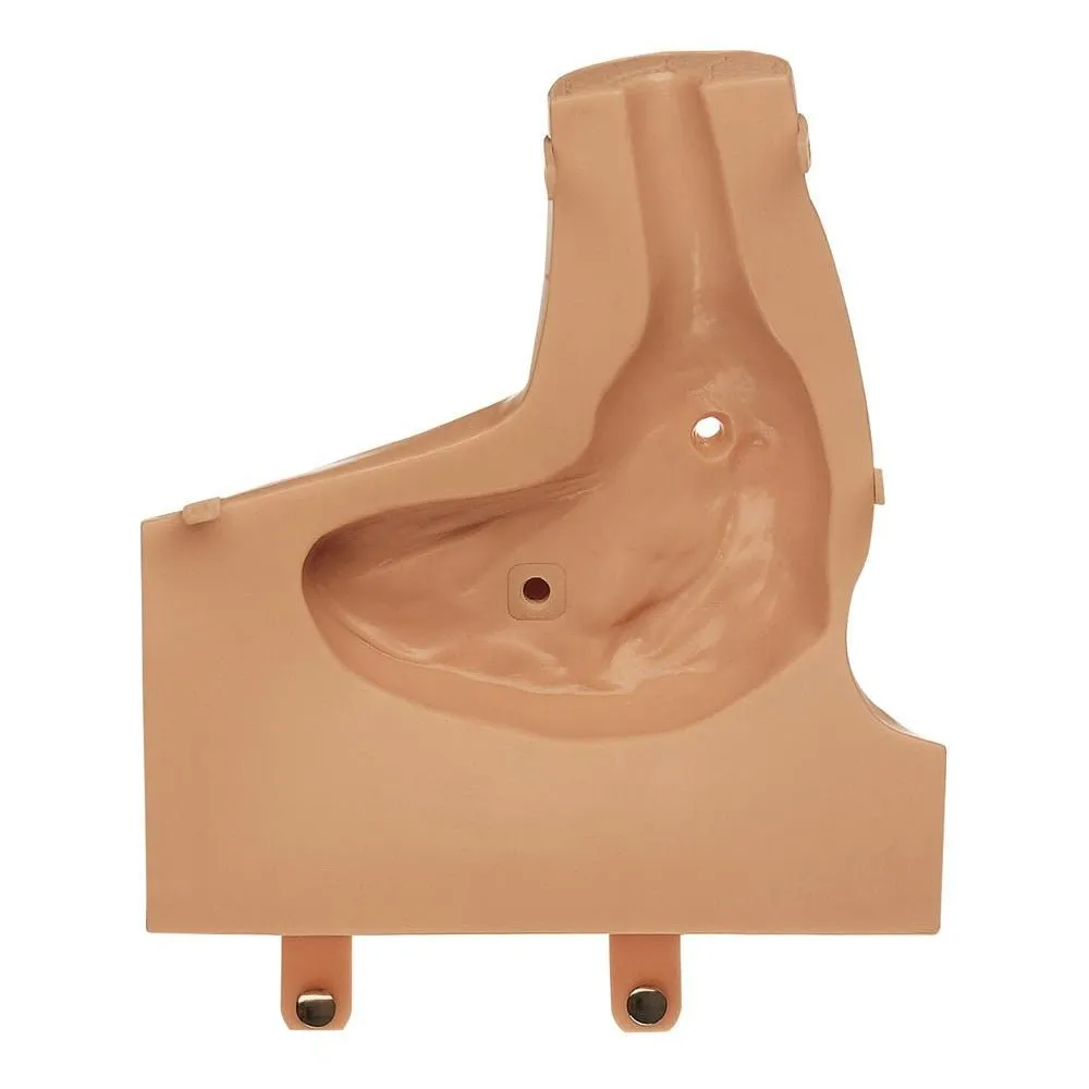 CLA Arthroscopy Model of Shoulder Joint