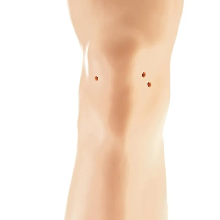 CLA Arthroscopy Model of the Knee-Joint