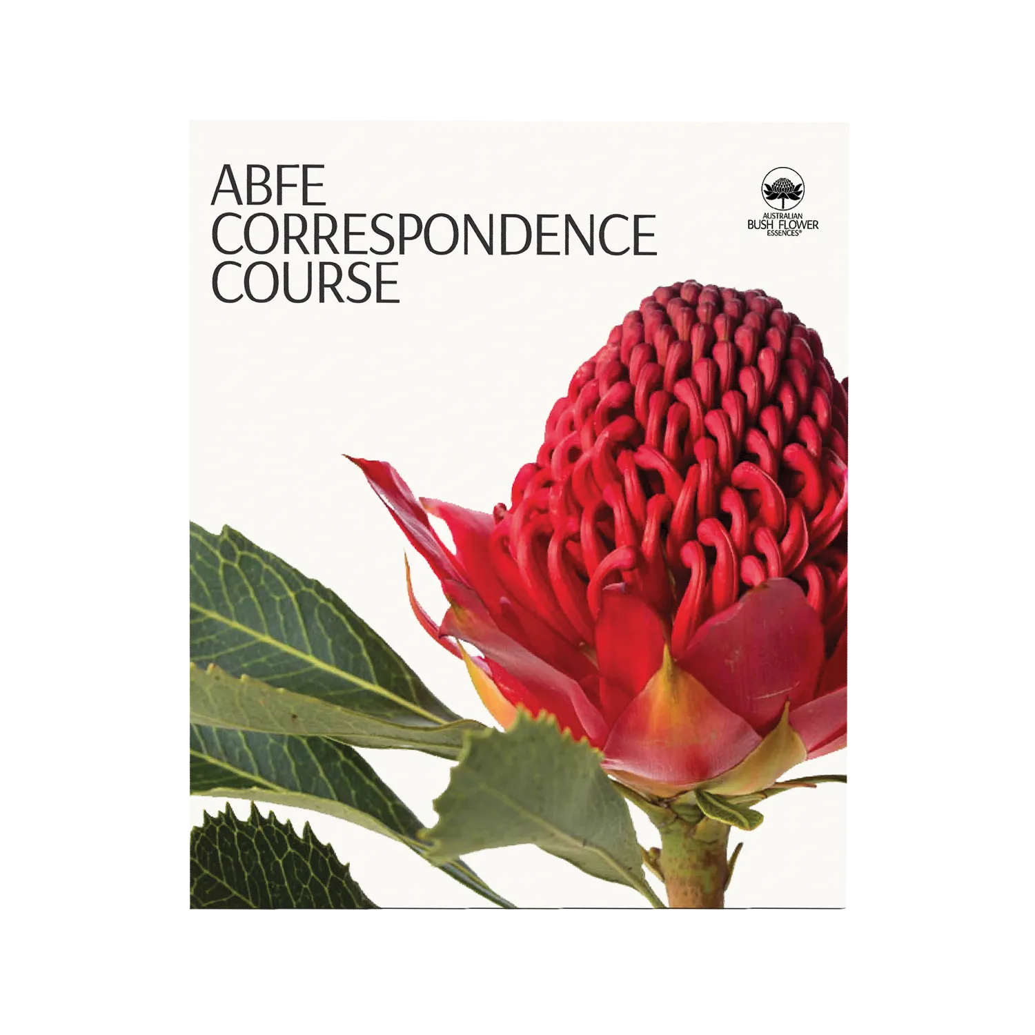 Correspondence Course
