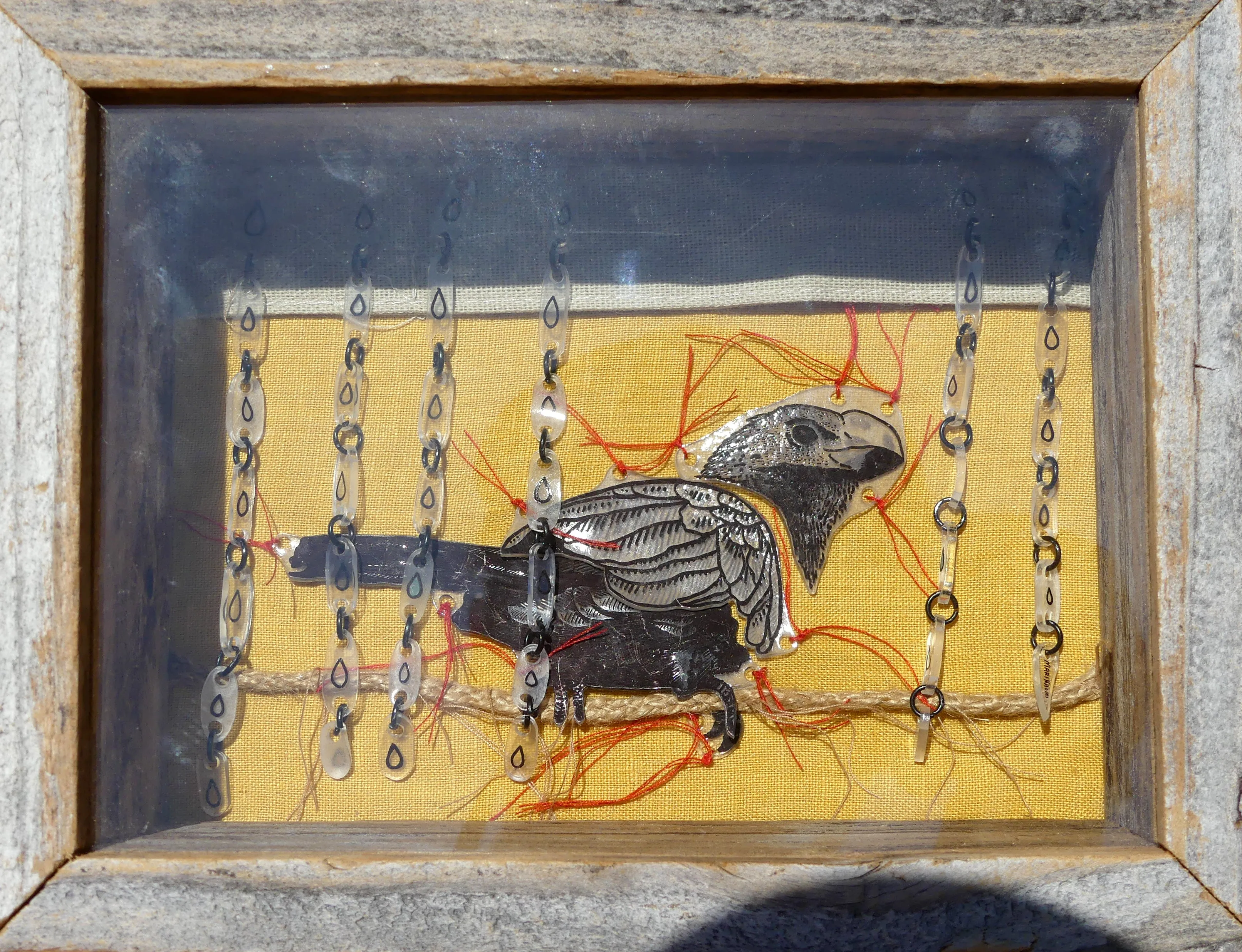Creatures of Flight 2024 - MariNaomi - "Smooth-billed Ani in a Tropical Storm"