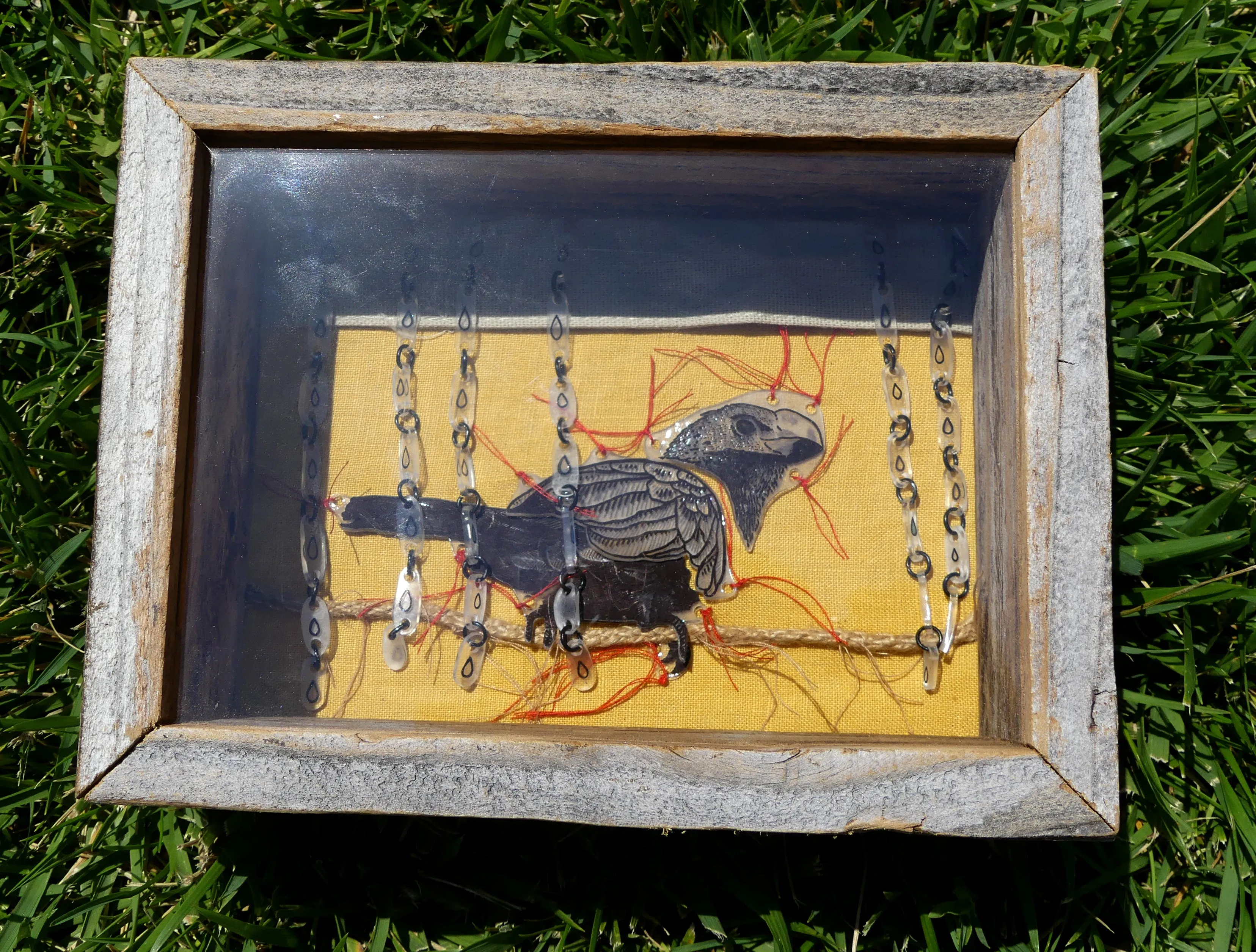 Creatures of Flight 2024 - MariNaomi - "Smooth-billed Ani in a Tropical Storm"
