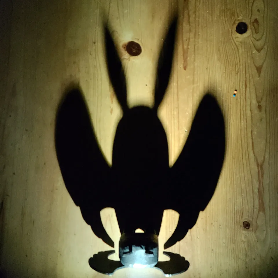 Creatures of Flight - Lap Ngo - "Greetings From Point Pleasant, WV"