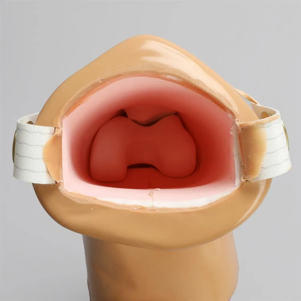 Dry Arthroscopy Knee Simulator