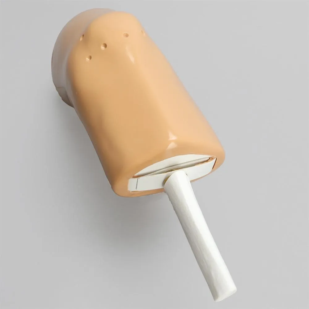 Dry Arthroscopy Knee Simulator