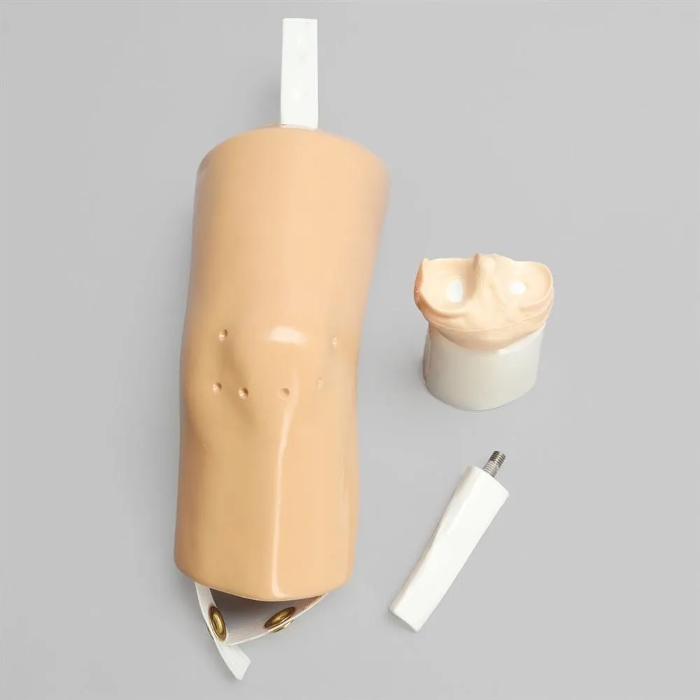 Dry Arthroscopy Knee Simulator