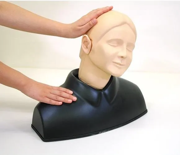 Ear Examination Simulator II