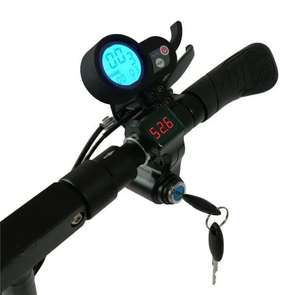 EMove Cruiser Electric Scooter