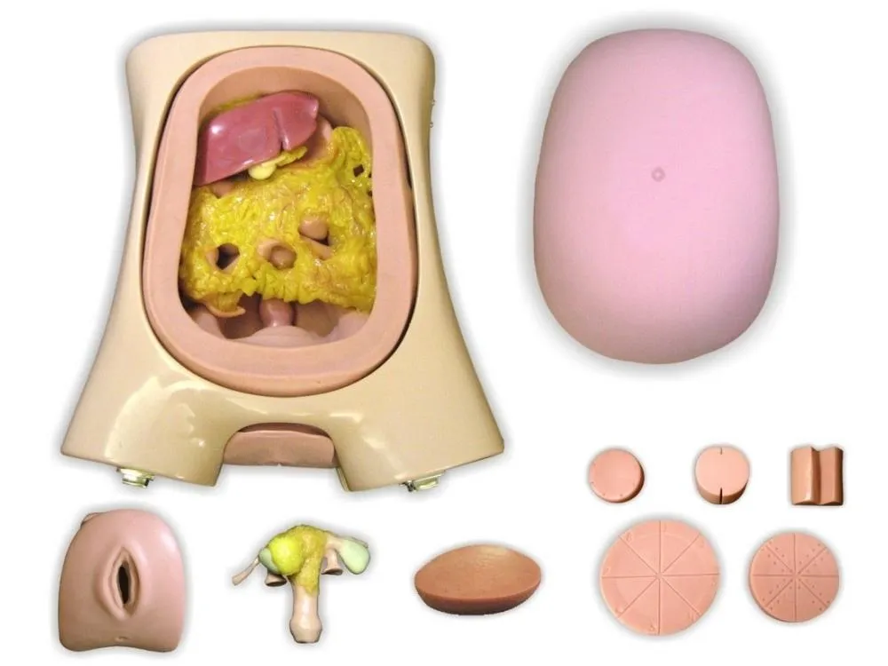EndoSurgical Laparoscopic Surgery Simulator