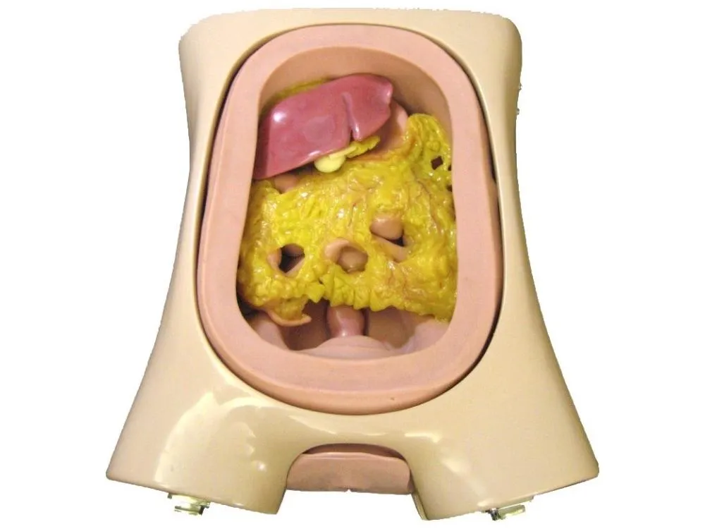 EndoSurgical Laparoscopic Surgery Simulator