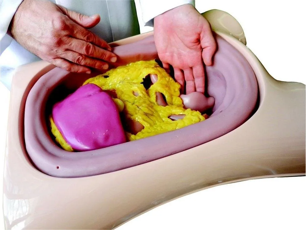 EndoSurgical Laparoscopic Surgery Simulator