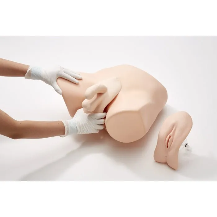 Female Catheterization & Enema Simulator