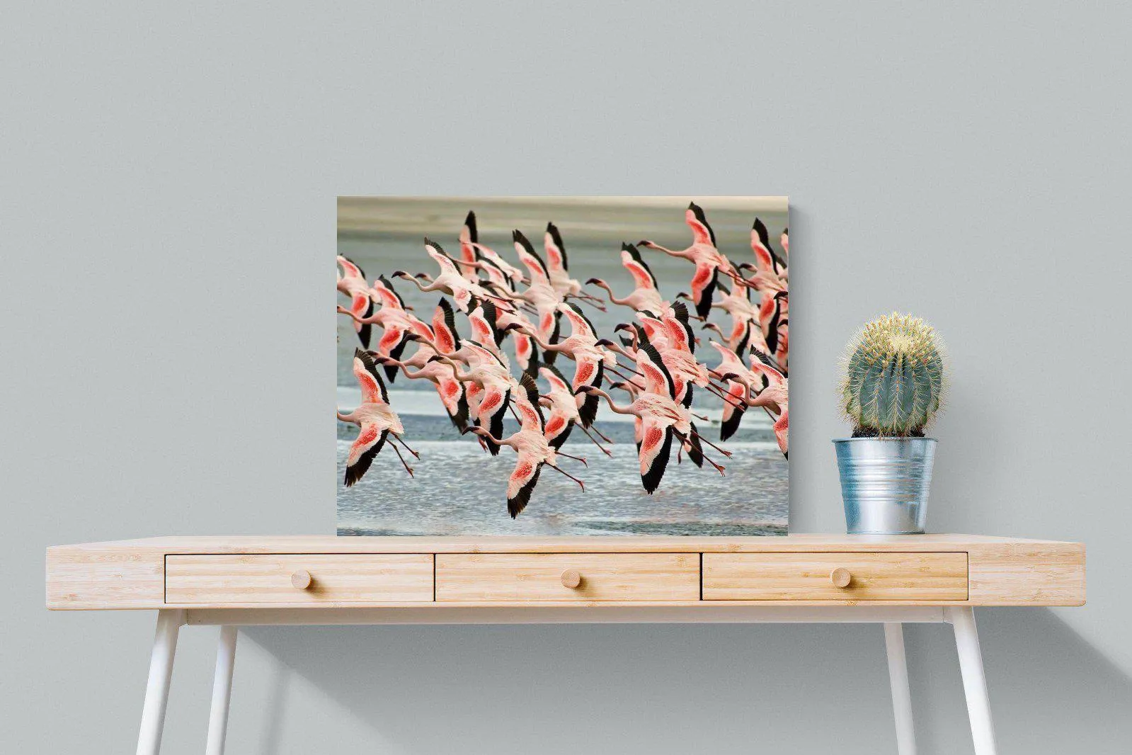 Flamingo Flight