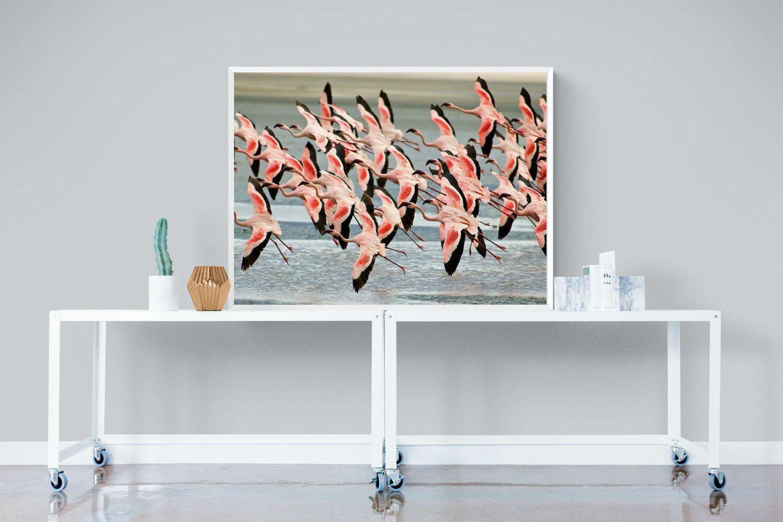 Flamingo Flight