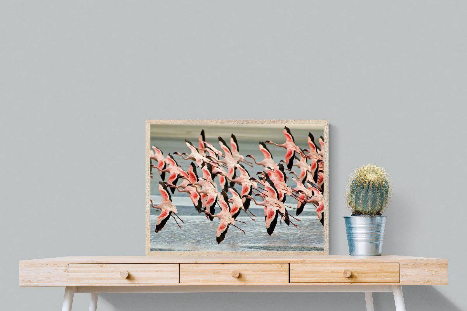 Flamingo Flight