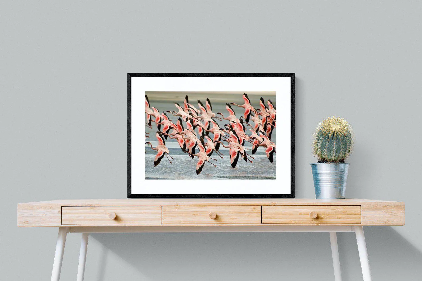 Flamingo Flight