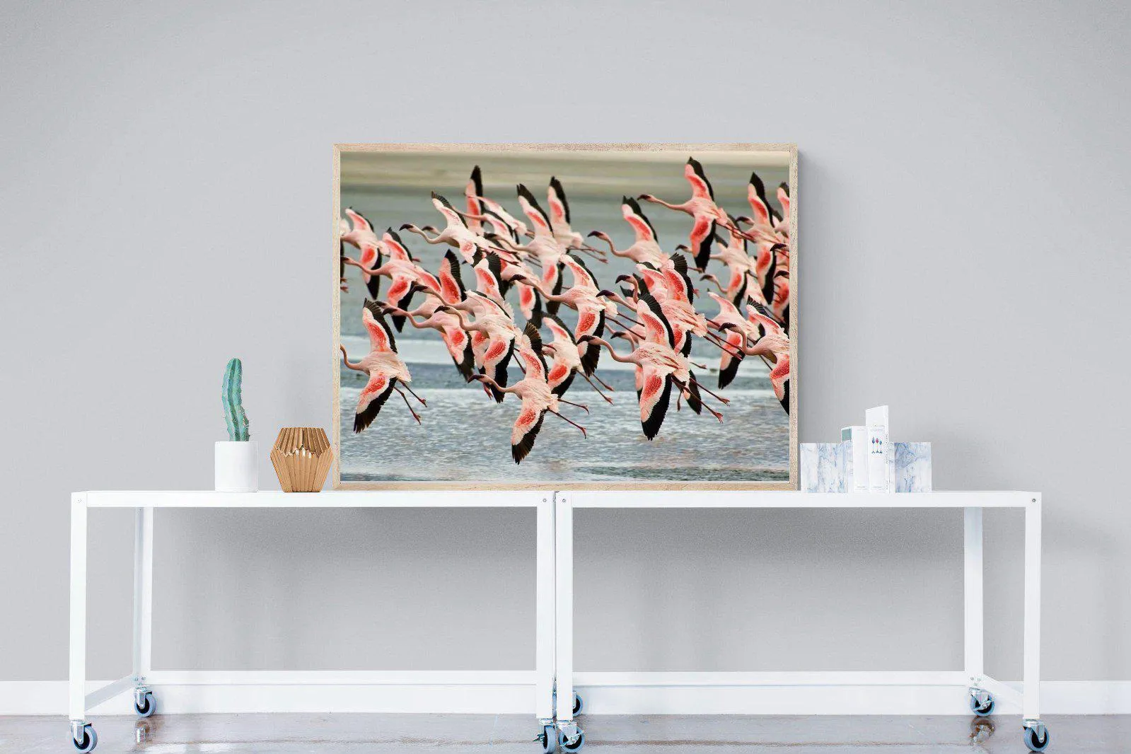 Flamingo Flight