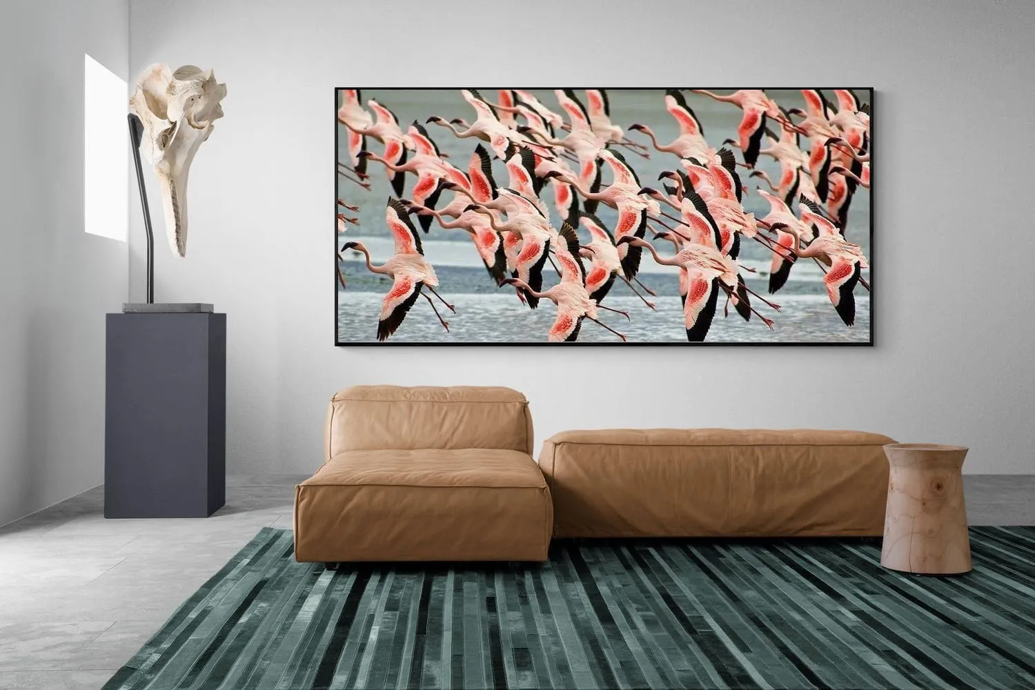 Flamingo Flight