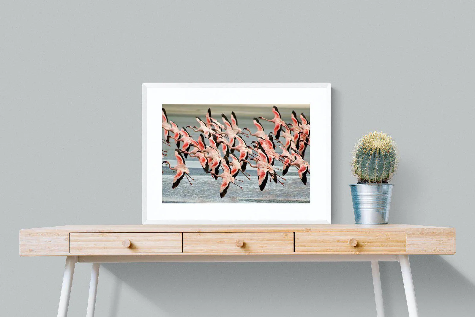 Flamingo Flight