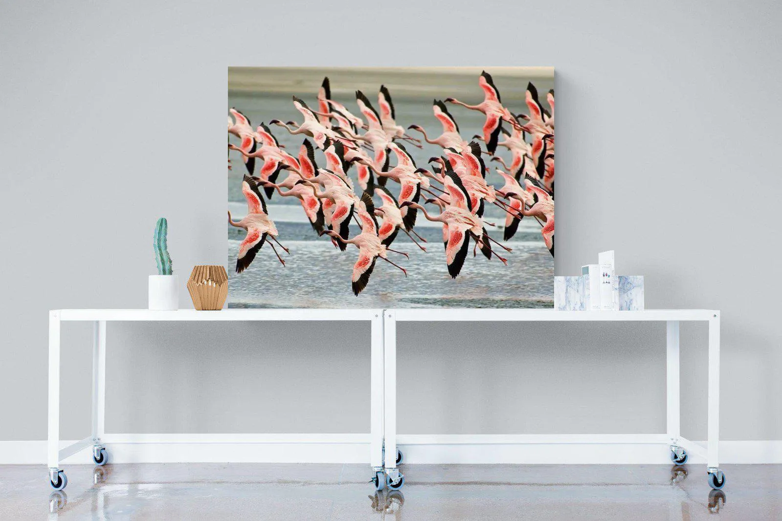 Flamingo Flight