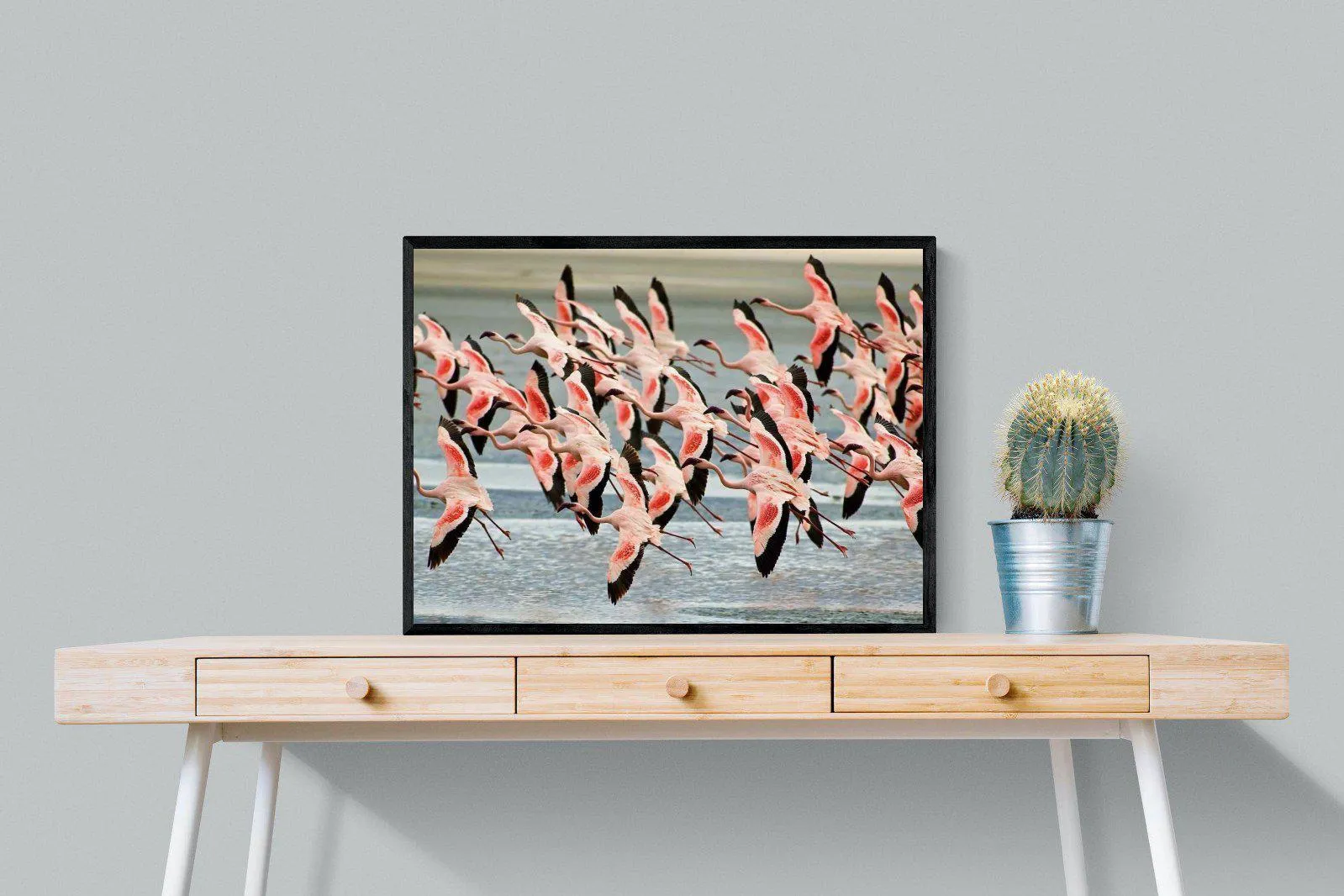Flamingo Flight