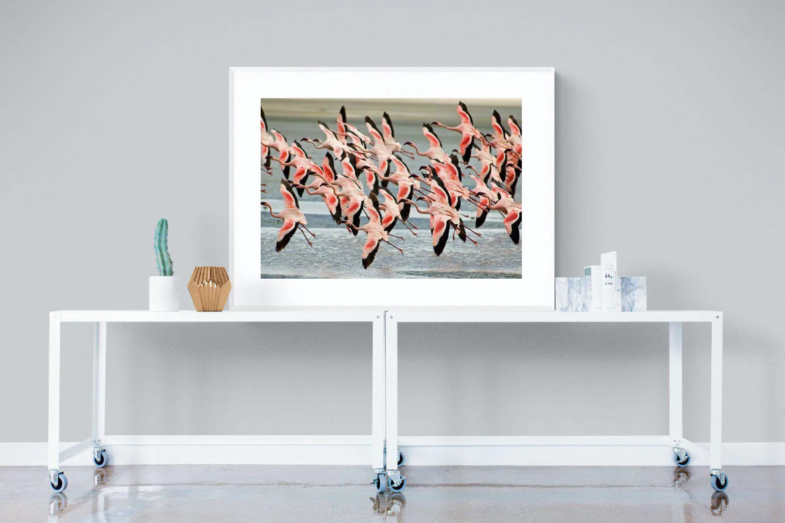 Flamingo Flight