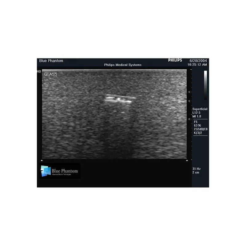 Foreign Body Identification Ultrasound Training Model, Leg