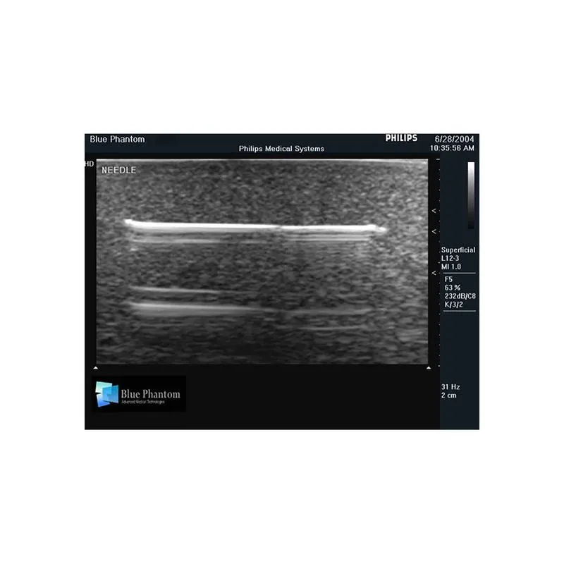 Foreign Body Identification Ultrasound Training Model, Leg