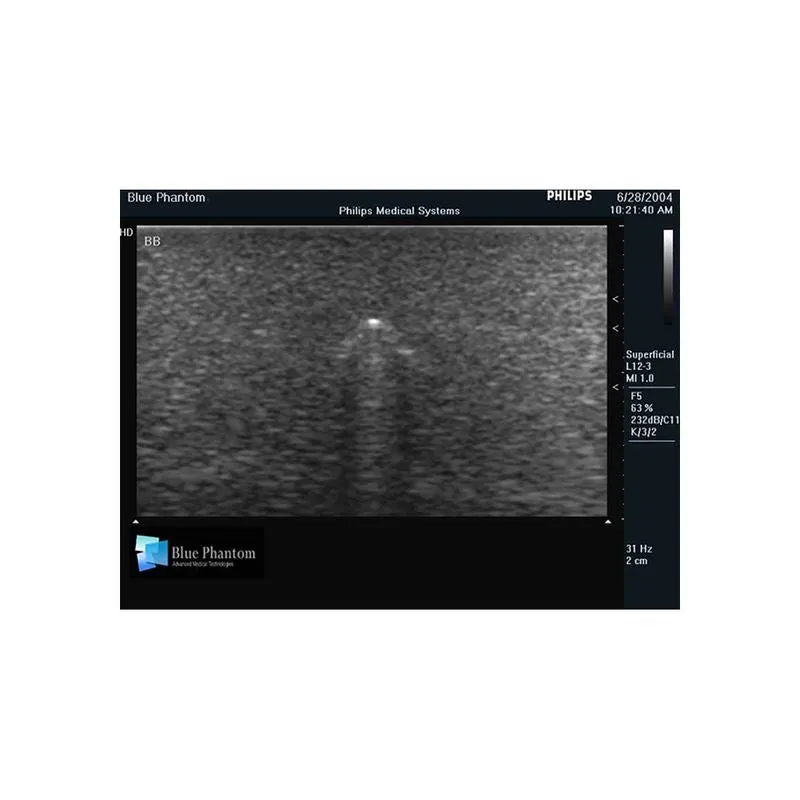 Foreign Body Identification Ultrasound Training Model, Leg