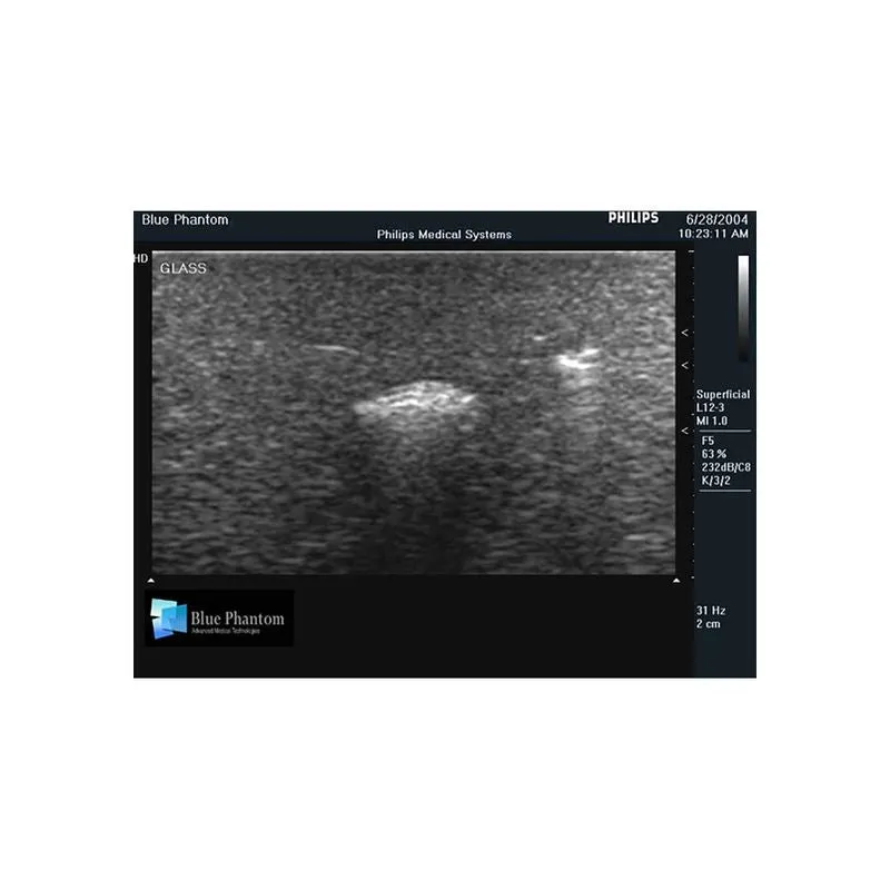 Foreign Body Identification Ultrasound Training Model, Leg