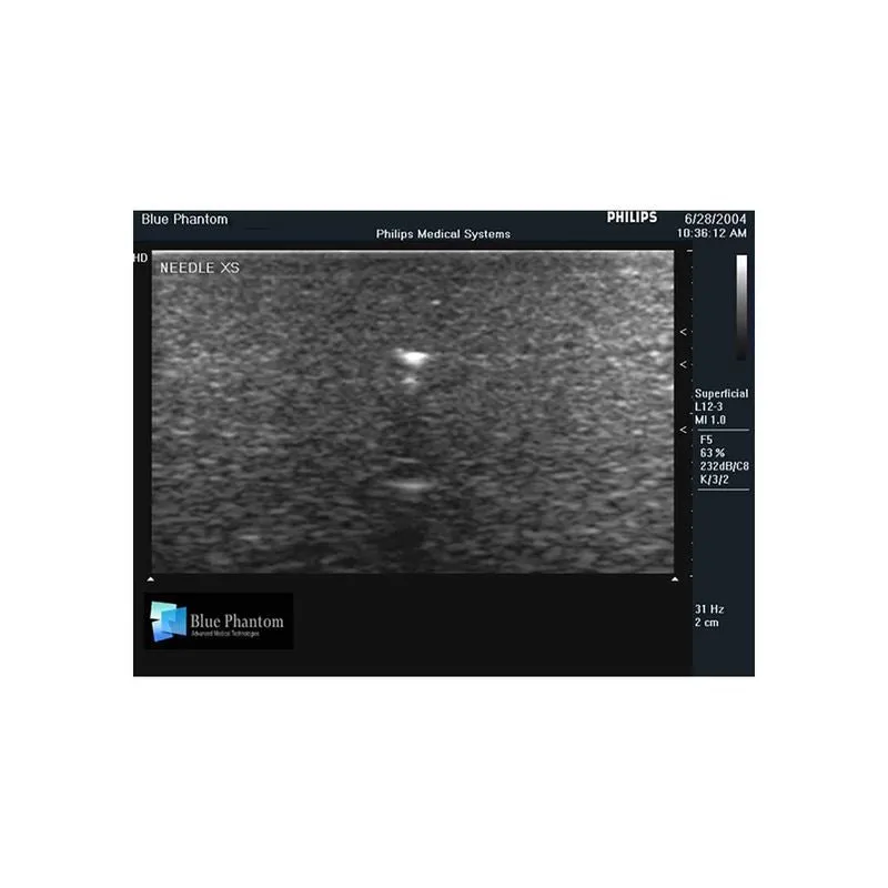 Foreign Body Identification Ultrasound Training Model, Leg