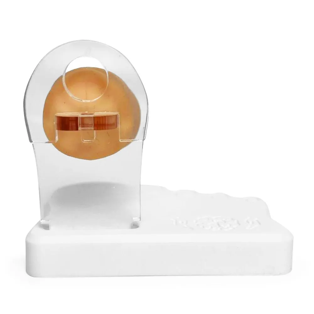 Ingrown Toenail Trainer Set for Nail Avulsion and Suturing